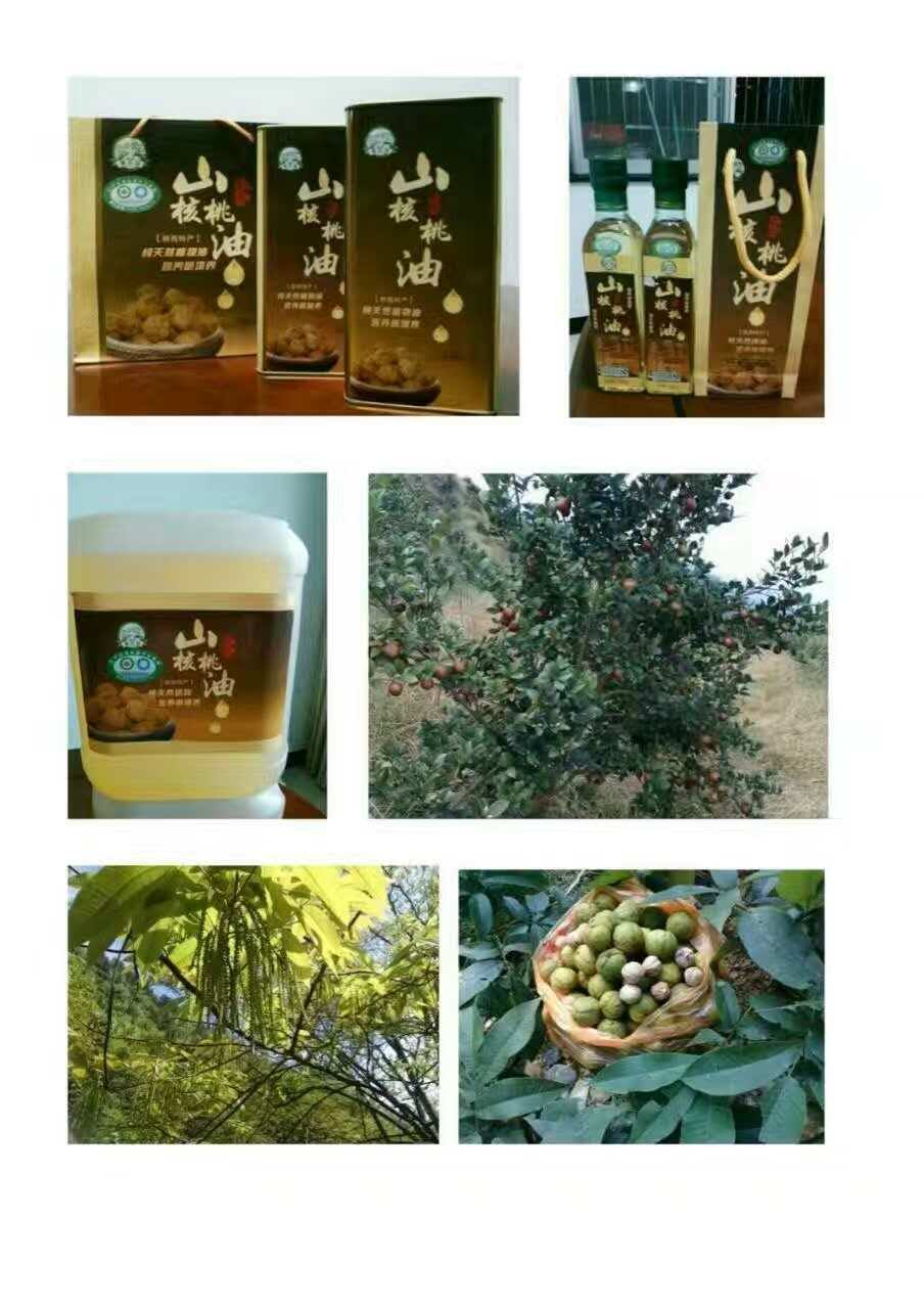 常德液壓壓榨機(jī),常德固液分離機(jī),常德壓濾機(jī),常德粉碎機(jī) 常德液壓壓榨機(jī),常德固液分離機(jī),常德壓濾機(jī),常德粉碎機(jī)